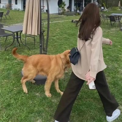 步步惊情
